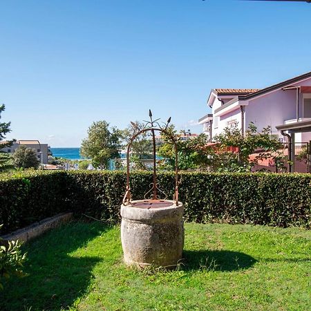 Holiday Apartment 50M From The Beach Pjescana Uvala Exterior photo
